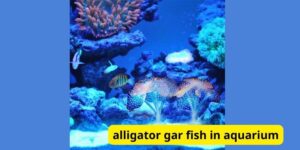 Alligator gar fish in aquarium: A Comprehensive Guide to Aquarium Care