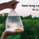 how long can fish stay in a bag