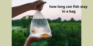 How long can fish stay in a bag?